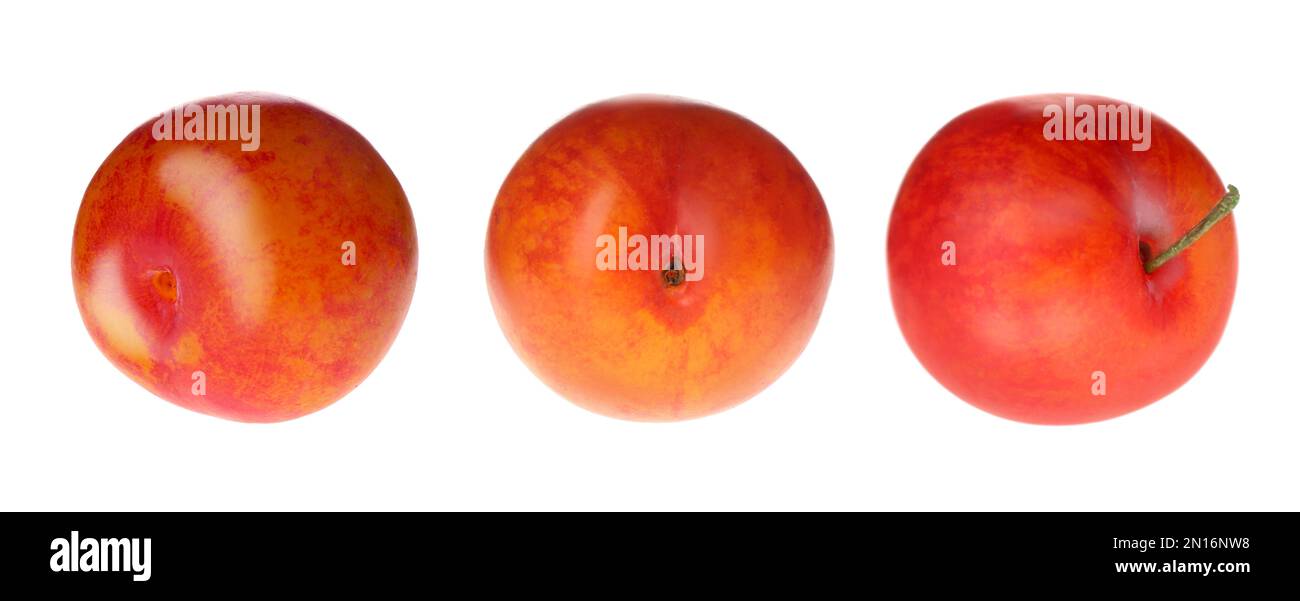 Set of fresh ripe plums on white background. Banner design Stock Photo