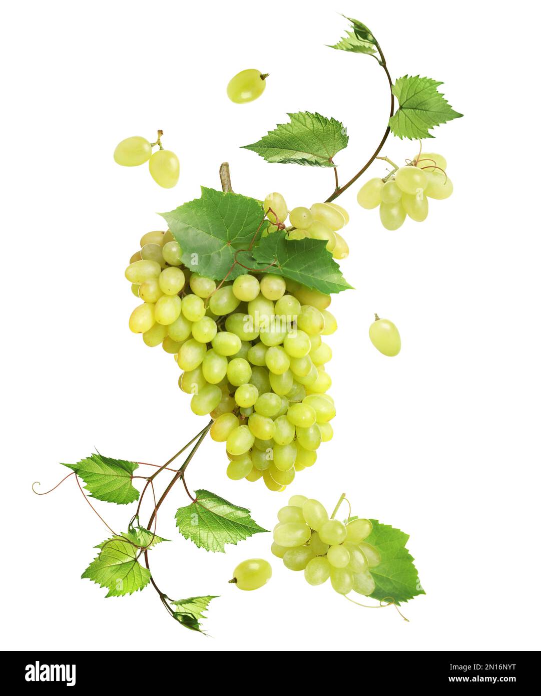 Fresh ripe grapes with green leaves falling on white background Stock ...
