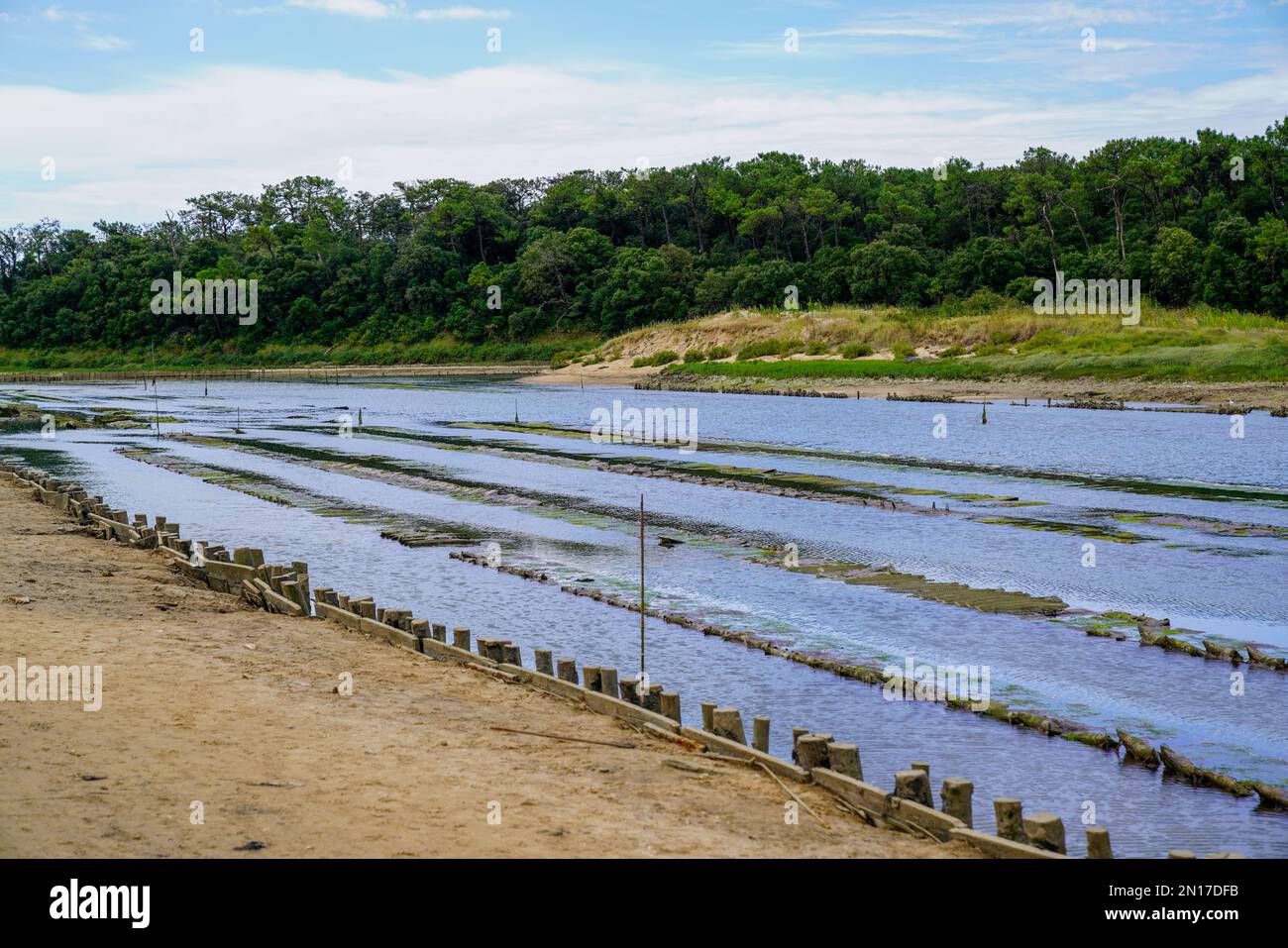 Oyster farm with growing oysters in cages underwater of atlantic ocean