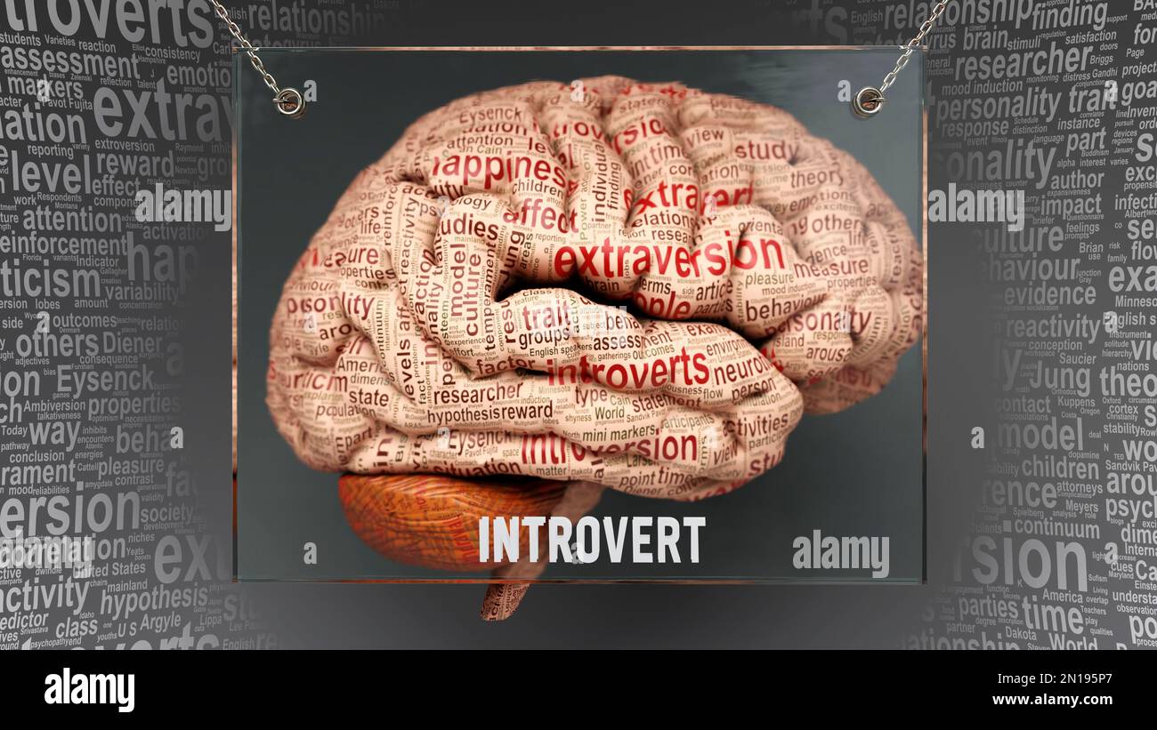 Introvert in human brain dozens of important terms describing