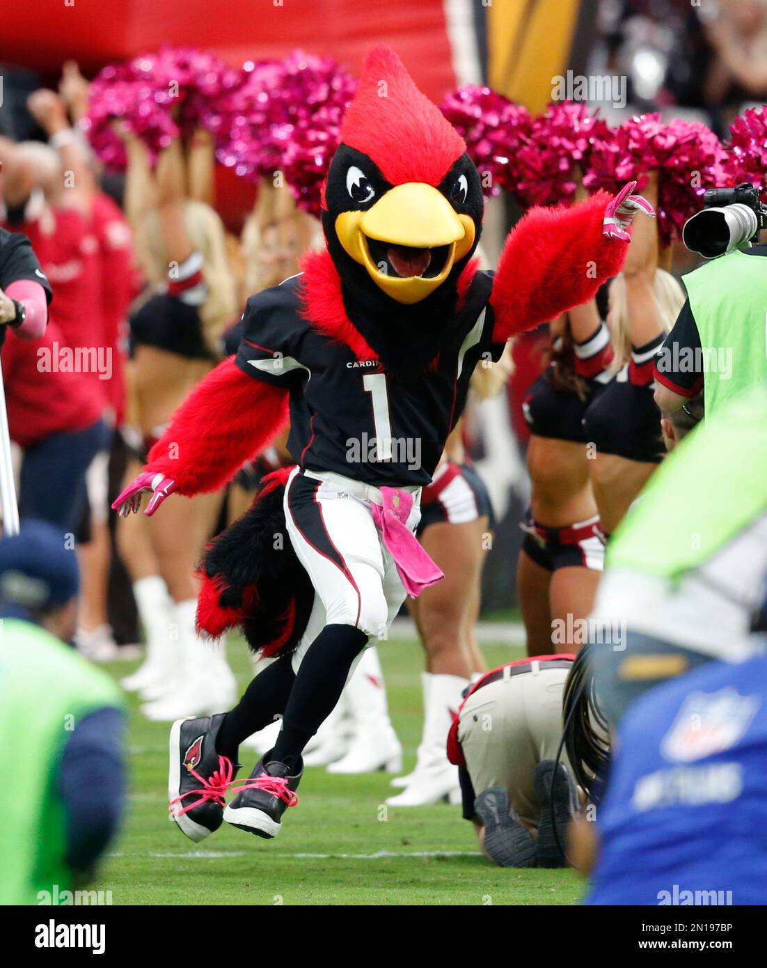 Arizona Cardinals mascot Big Red seen before playing the Seattle Seahawks  during an NFL Professional Football Game Sunday, Jan. 9, 2022, in Phoenix.  (AP Photo/John McCoy Stock Photo - Alamy