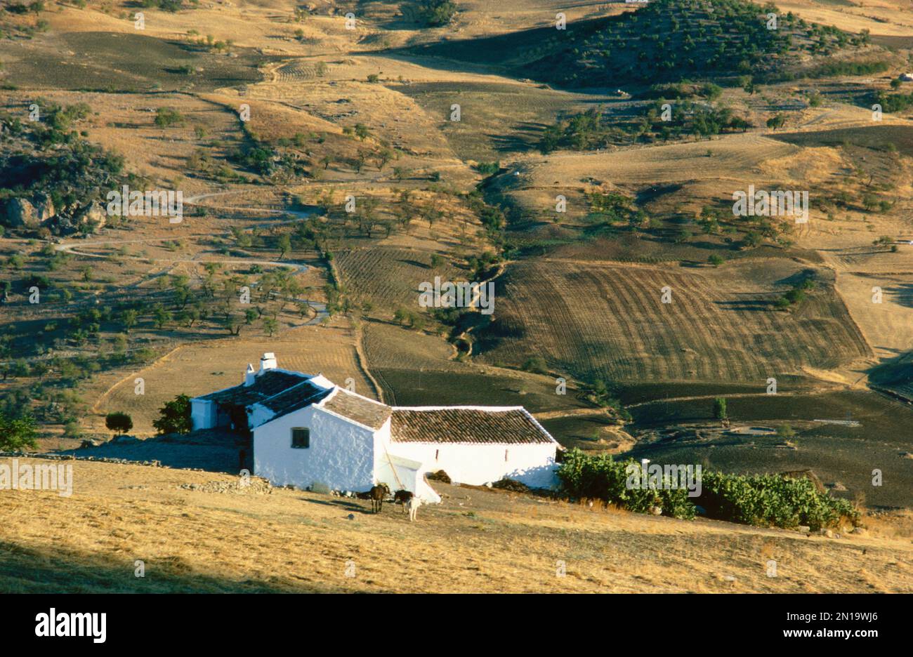 Farmhouse, near Ronda, Andalucia, Spain Stock Photo