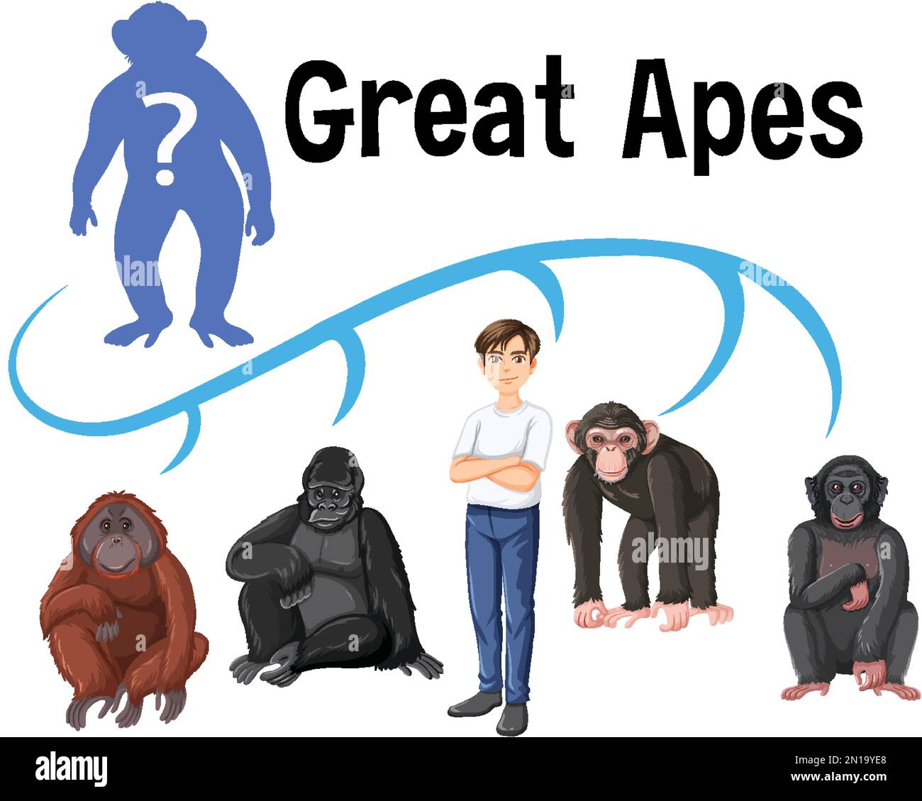 Five different types of great apes illustration Stock Vector Image