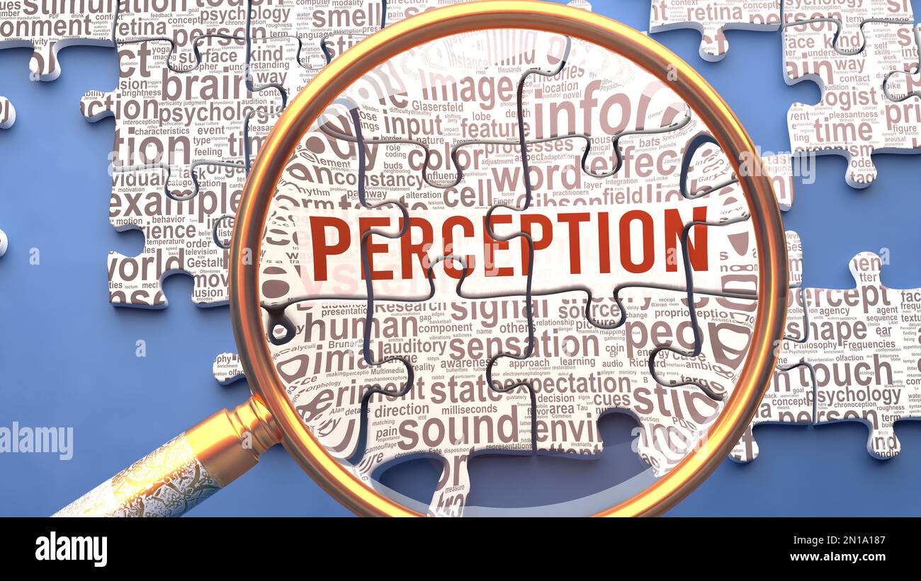 Perception as a complex and multipart topic under close inspection. Complexity shown as matching puzzle pieces defining dozens of vital ideas and conc Stock Photo