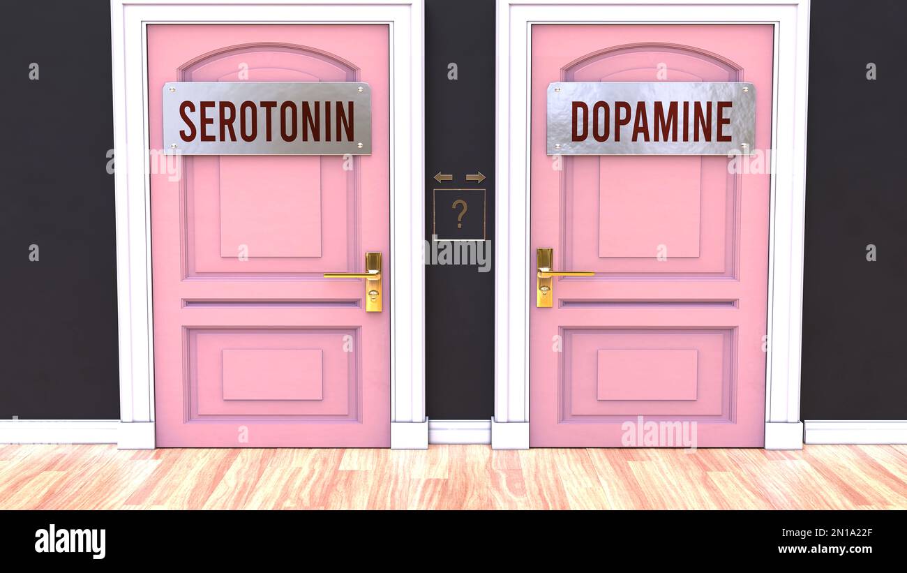 Serotonin or Dopamine - making decision by choosing either one option ... - Psychological Theories Of Dopamine Loops In Decision Making