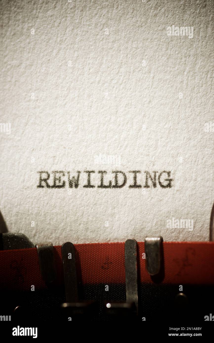 Rewilding word written with a typewriter Stock Photo - Alamy