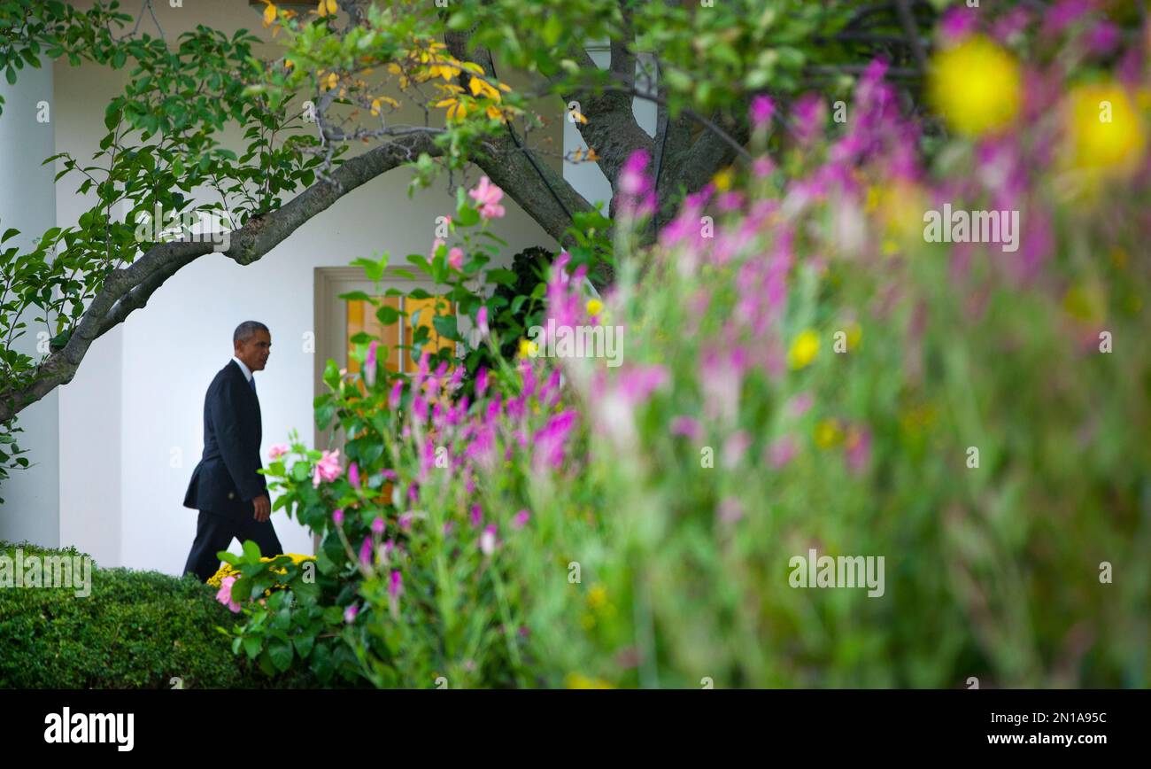 President Barack Obama walks back to the Oval Office of the White House