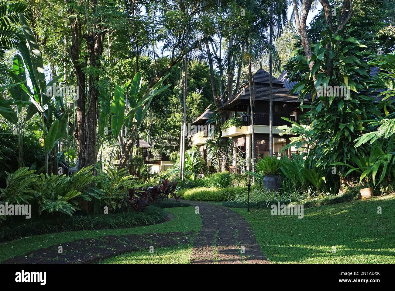 Exterior design of natural hotel and luxury resort villas and pavilions acquainted with Thai culture on terraced rice field, Chiang Mai, Thailand Stock Photo