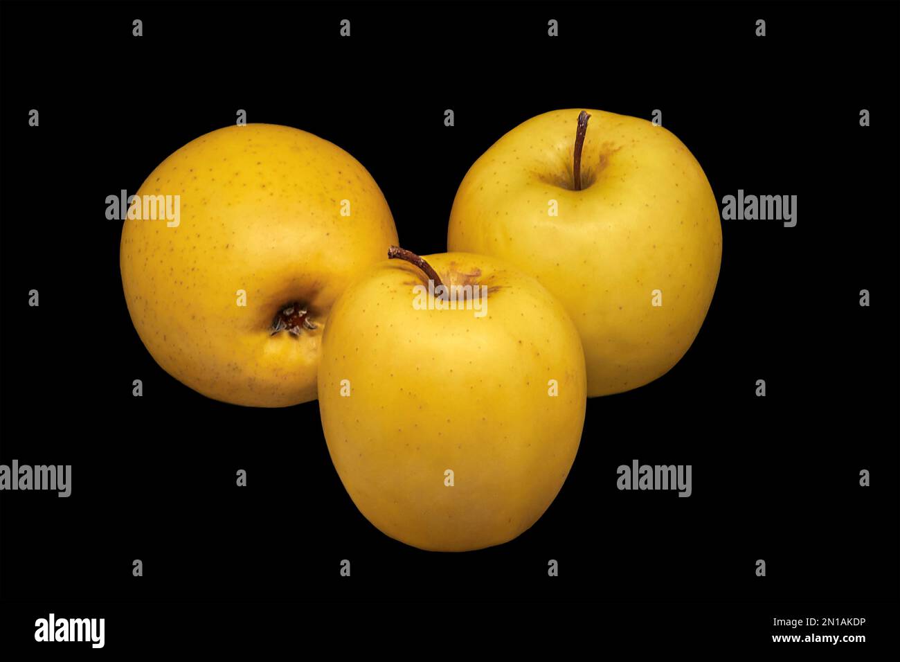Image of three ripe yellow apples on a black background Stock Photo