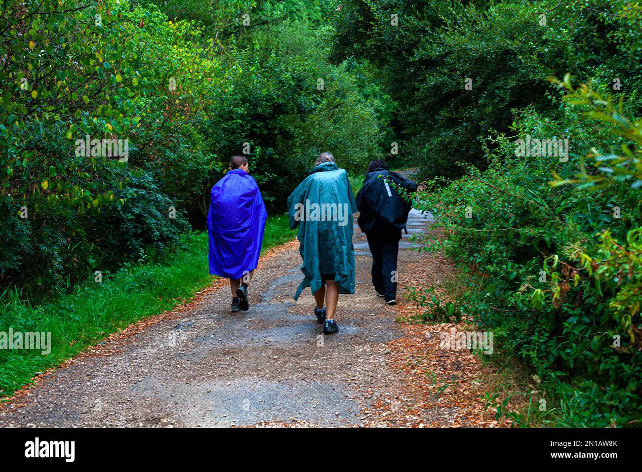 Pilgrims walking on the countryside road at Rainy day during the Camino de Santiago or Way of St James, Spain Stock Photo