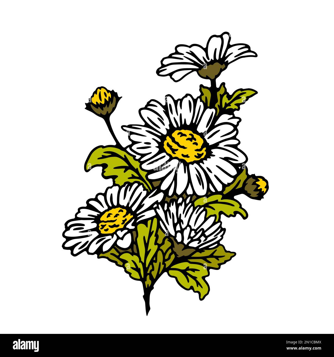 Daisy flower hand drawn bouquet. Rustic bouquet of daisy flowers and ...