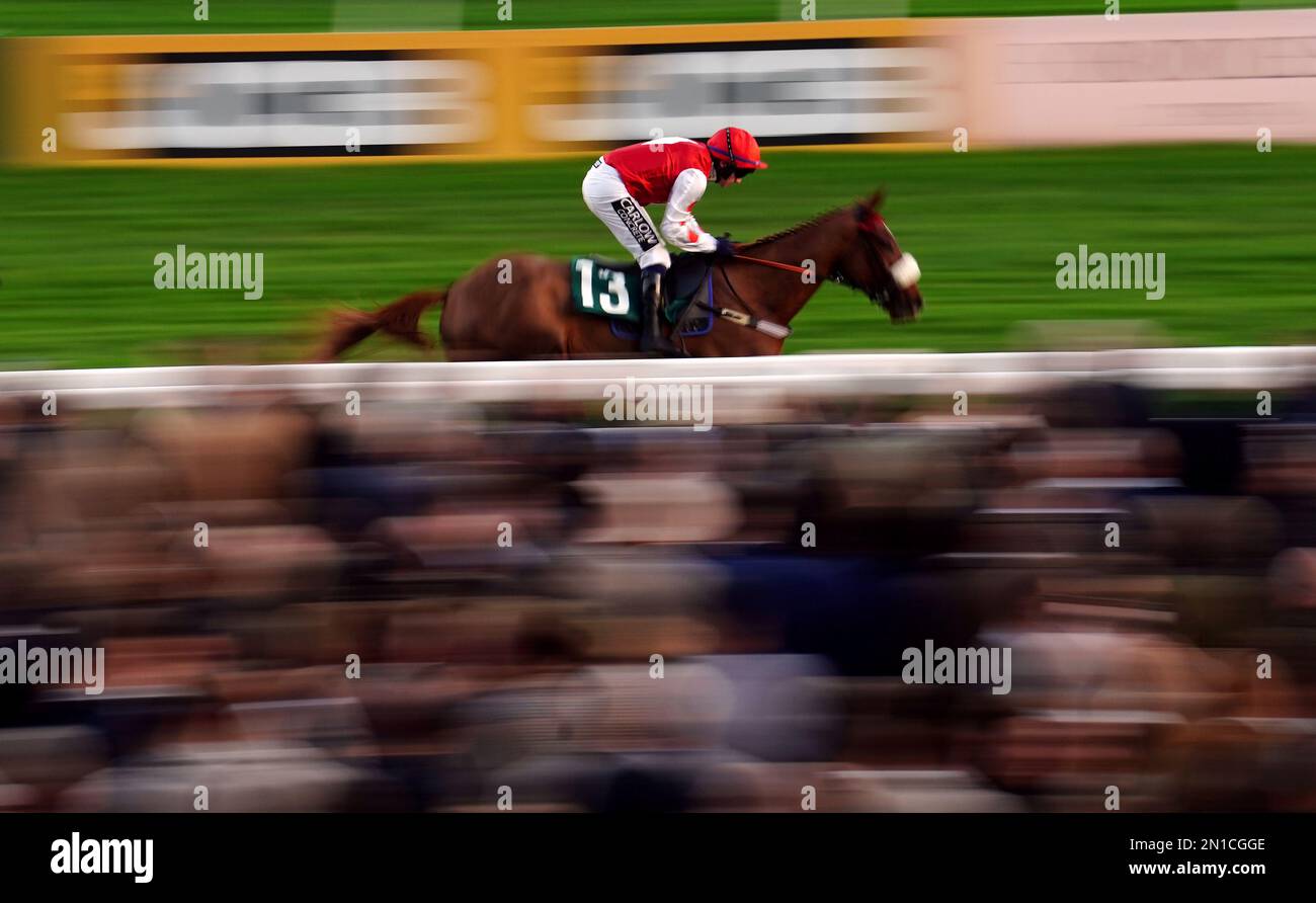 File photo dated 12112022 of Queens Gamble, who can land the odds in