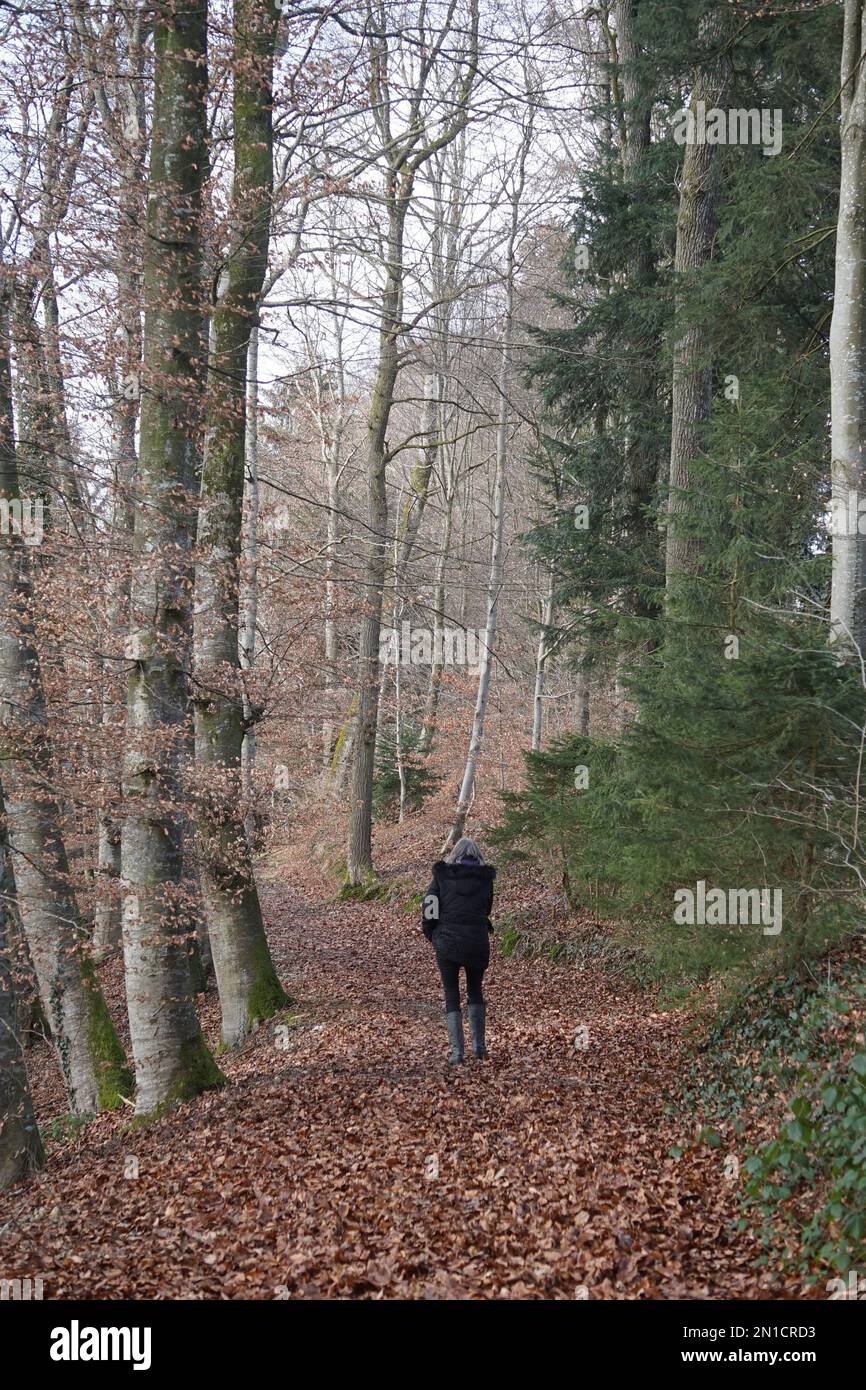 Spaziergang wald hi-res stock photography and images - Alamy