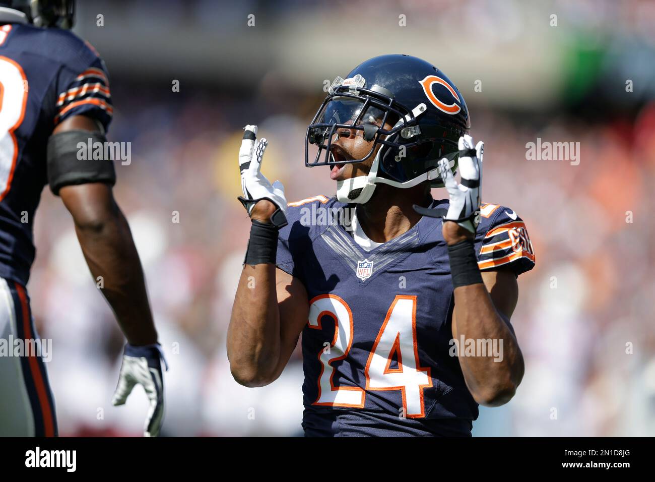 Chicago Bears 2015  Chicago bears schedule, Nfl chicago bears, Chicago  bears