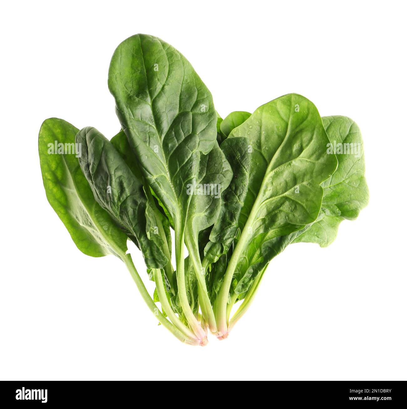 Fresh green healthy spinach leaves isolated on white, top view Stock ...