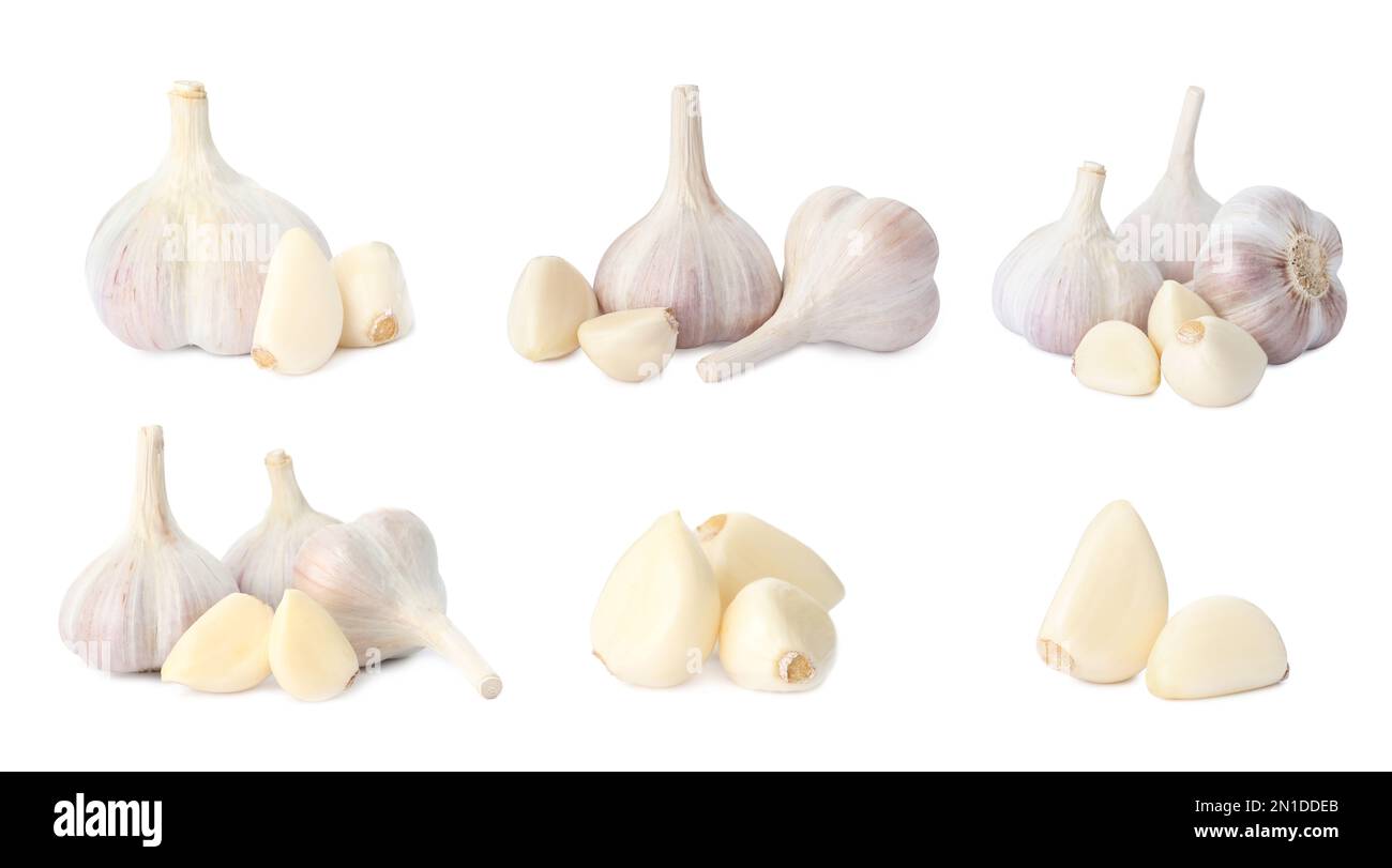 Set of garlic bulbs and cloves on white background Stock Photo - Alamy