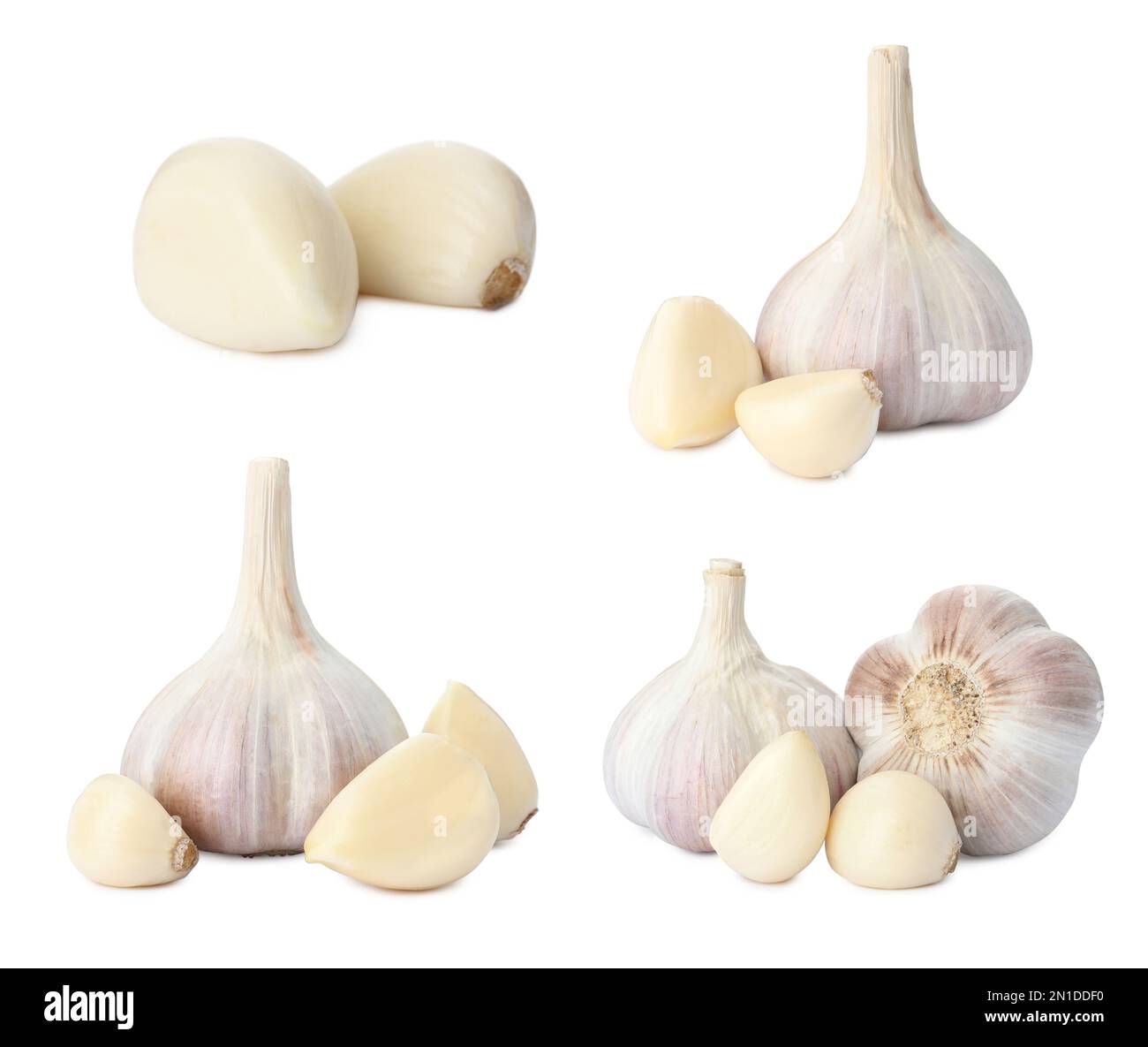 Set of garlic bulbs and cloves on white background Stock Photo - Alamy