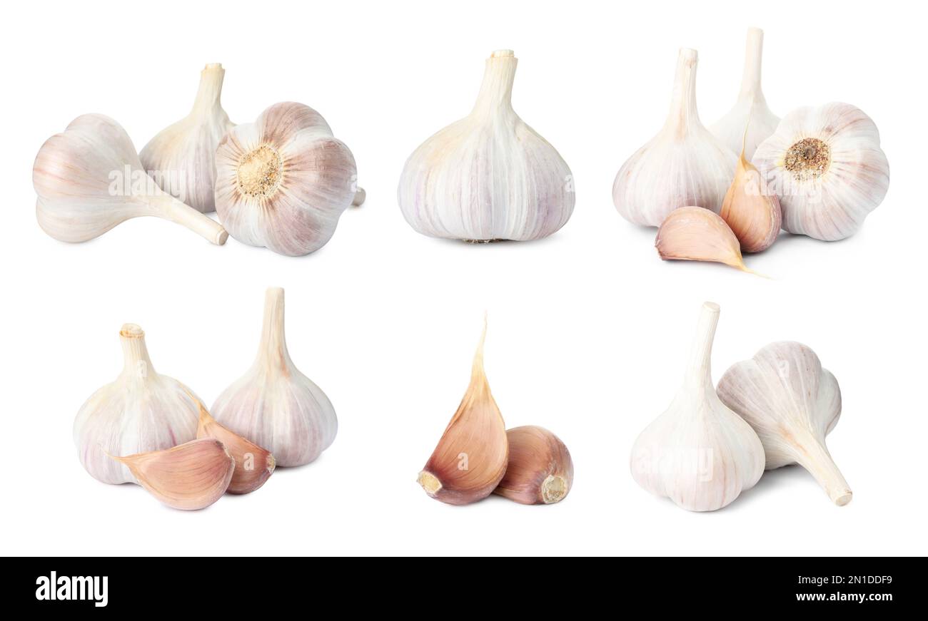 Set of garlic bulbs and cloves on white background Stock Photo - Alamy