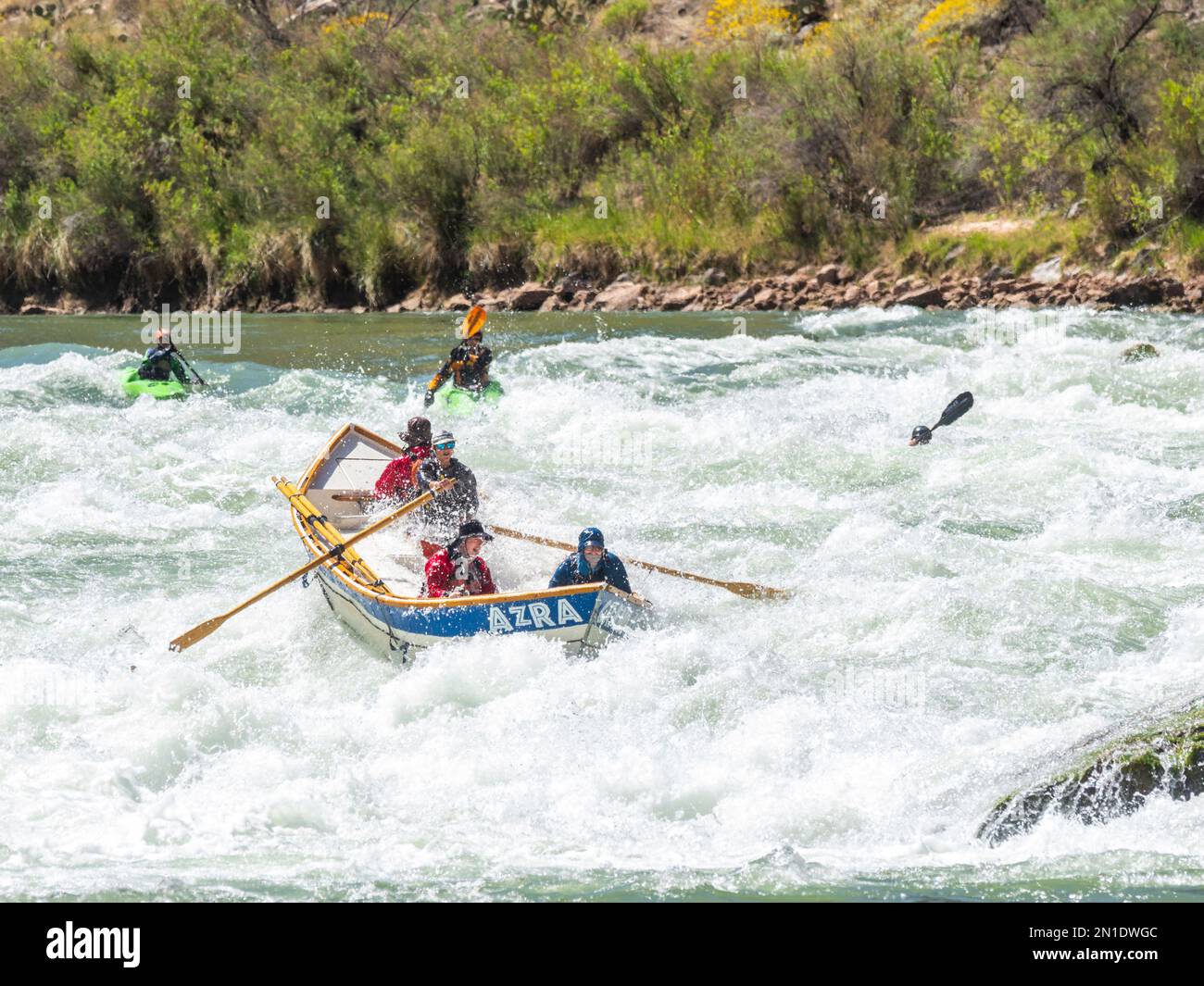 Commercial dory runs the Deubendorff Rapid, just past river mile 132, Grand Canyon National Park, Arizona, United States of America, North America Stock Photo