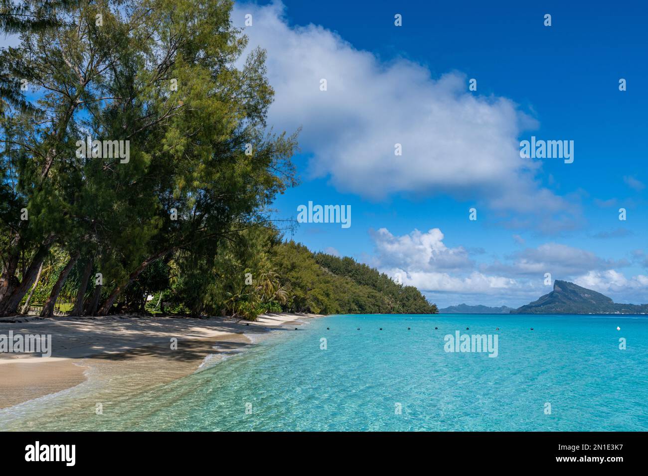 White sand beach, Aukena island, Gambier archipelago, French Polynesia