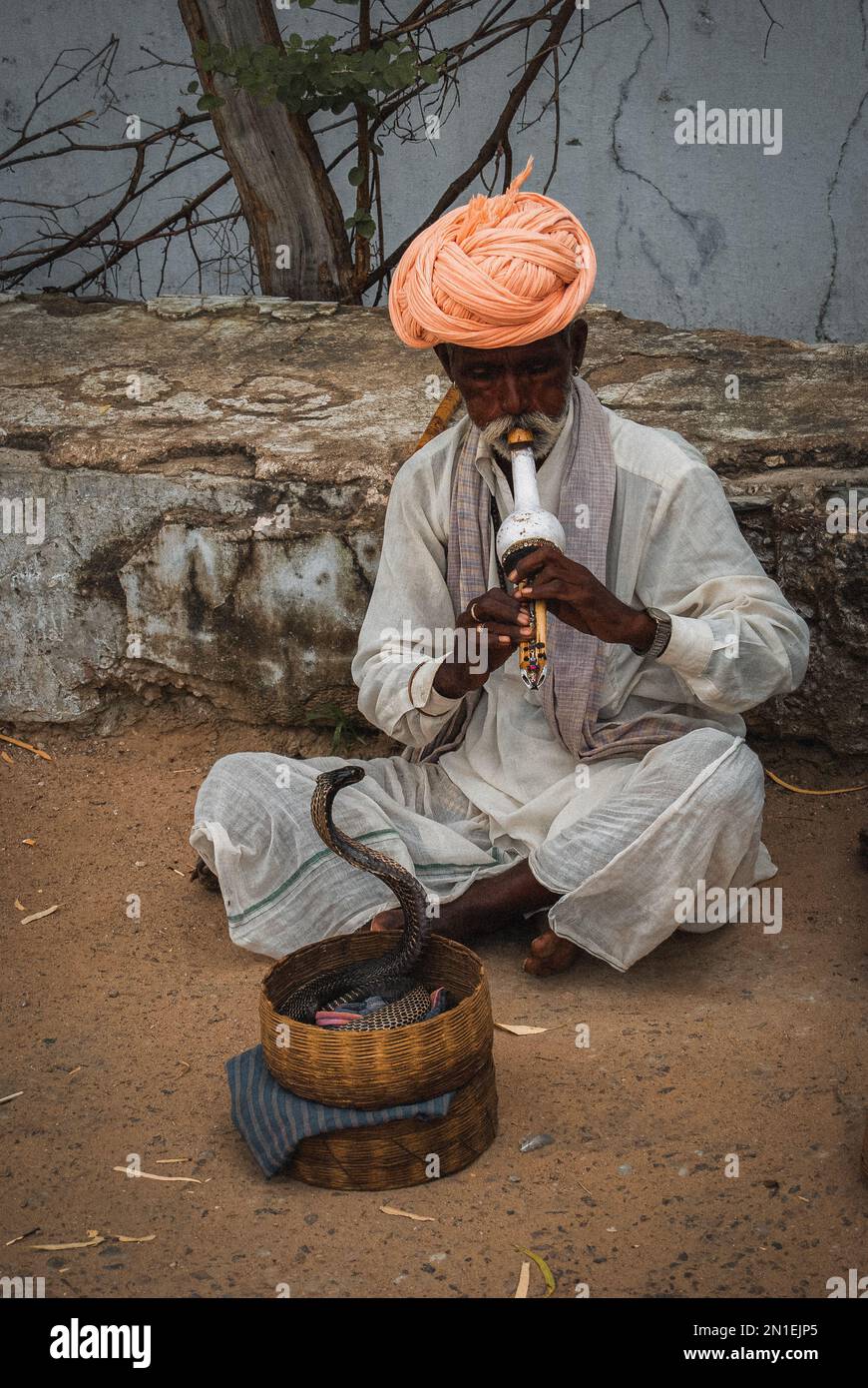 The snake charmer of Rajasthan Stock Photo - Alamy
