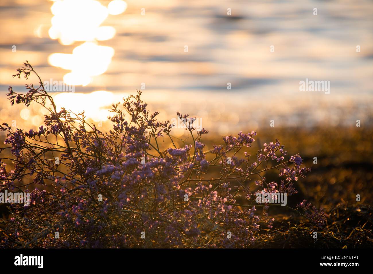 A beautiful sunset reflection on a sea water Stock Photo - Alamy