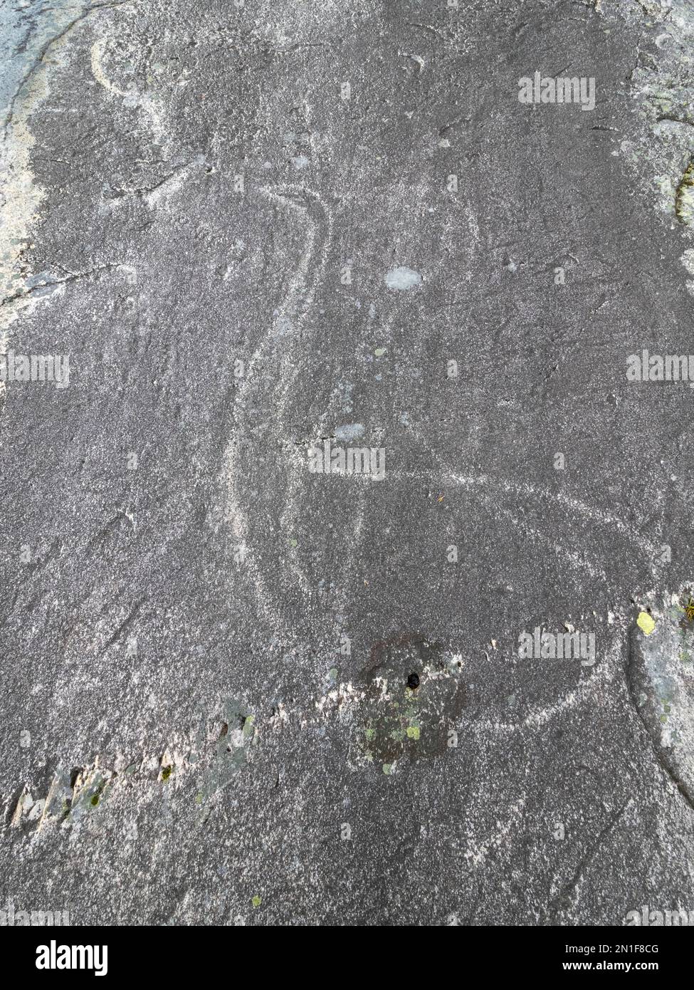 Prehistoric rock carvings, petroglyphs, at Leiknes, showing scenes from hunting, Norway, Scandinavia, Europe Stock Photo