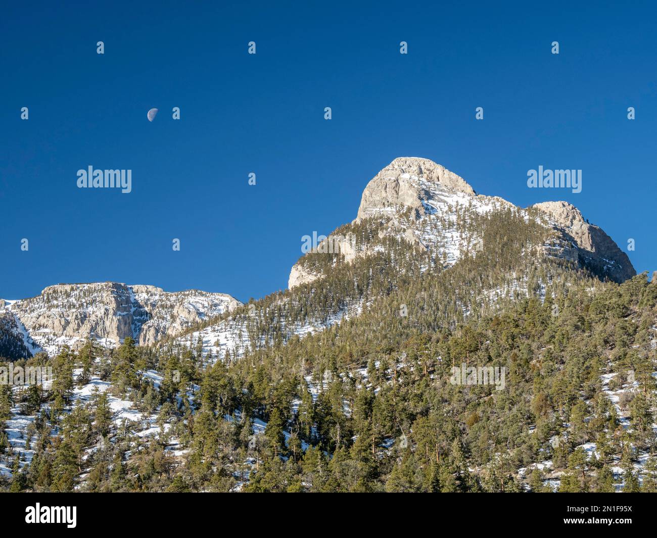 Snow-covered Spring Mountains National Recreation Area, Humboldt-Toiyabe National Forest, Nevada, United States of America, North America Stock Photo