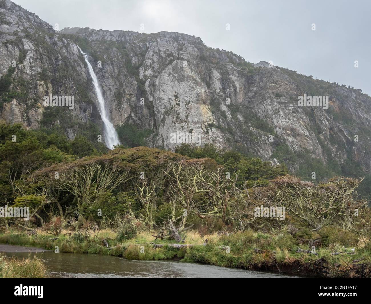 A waterfall cascading from the mountains amongst Nothofagus beech trees in Karukinka Natural Park, Chile, South America Stock Photo