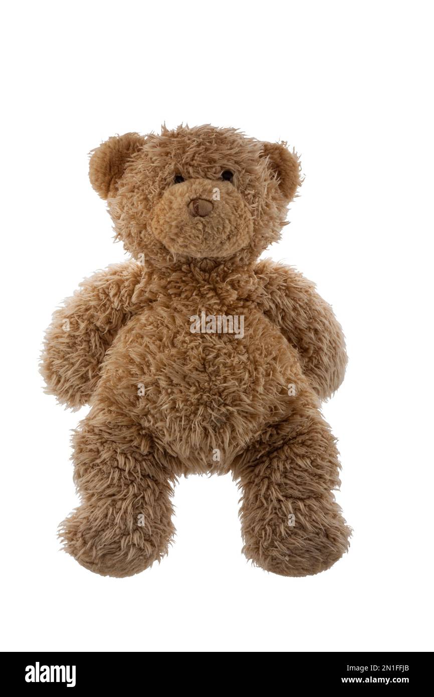 Teddy Bear isolated on white background Stock Photo - Alamy