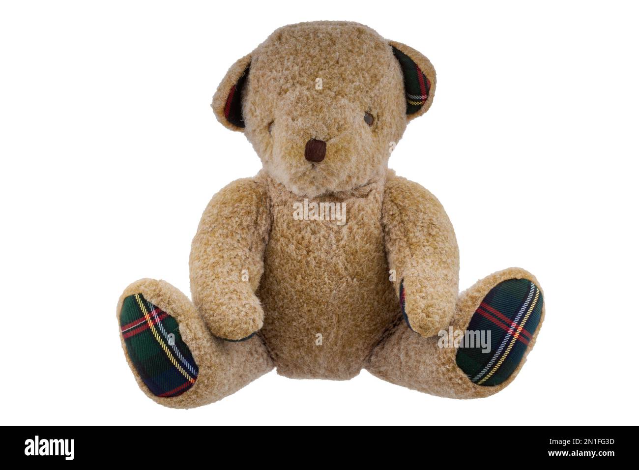 Teddy Bear isolated on white background Stock Photo - Alamy
