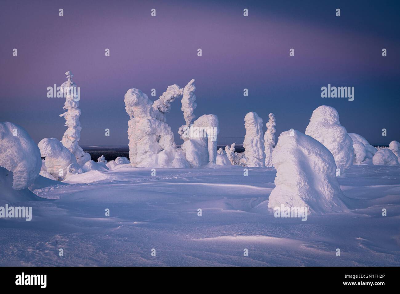 Ice sculptures at dusk, Riisitunturi National Park, Posio, Lapland, Finland, Europe Stock Photo