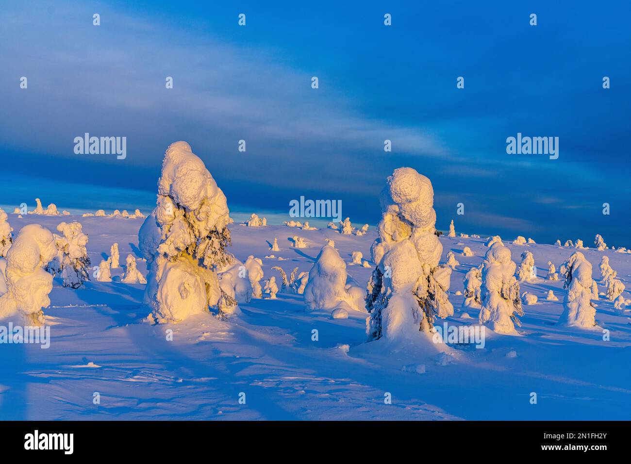 Ice sculptures in the snowy Arctic landscape, Riisitunturi National Park, Posio, Lapland, Finland, Europe Stock Photo