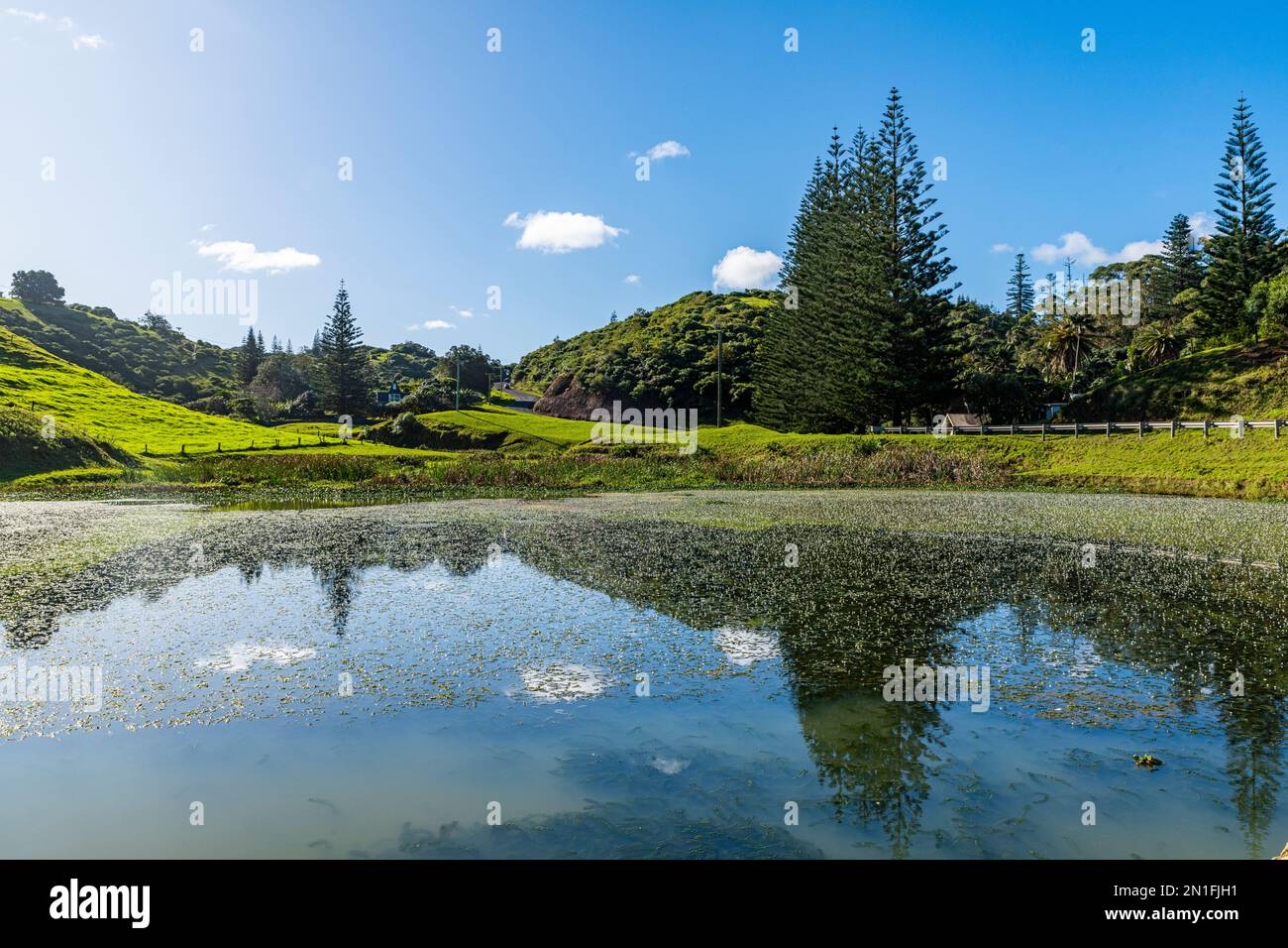 Little Pond in Arthurs Vale, UNESCO World Heritage Site, Norfolk Island, Australia, Pacific Stock Photo