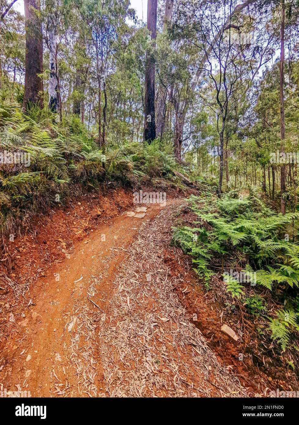 Yackandandah mountain bike trails in Indigo Shire in Victoria