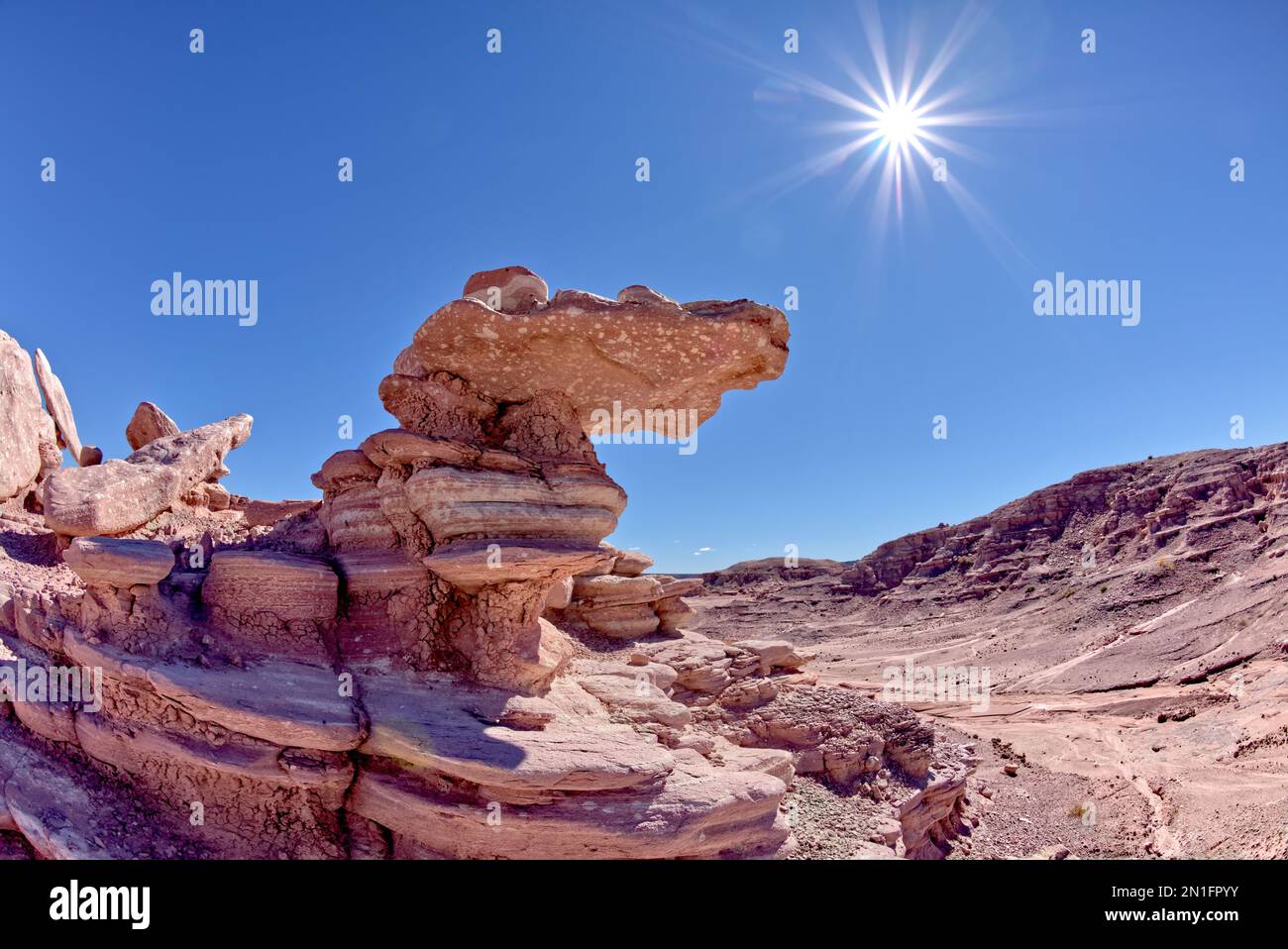 A hoodoo in Angels Garden at Petrified Forest, shaped like a dragon's head, Arizona, United States of America, North America Stock Photo