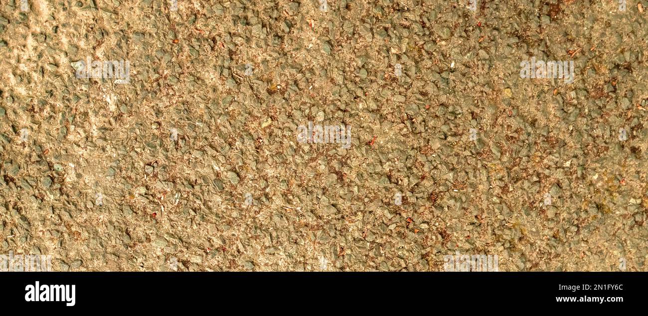 Wall Surface Textured Background Stock Photo