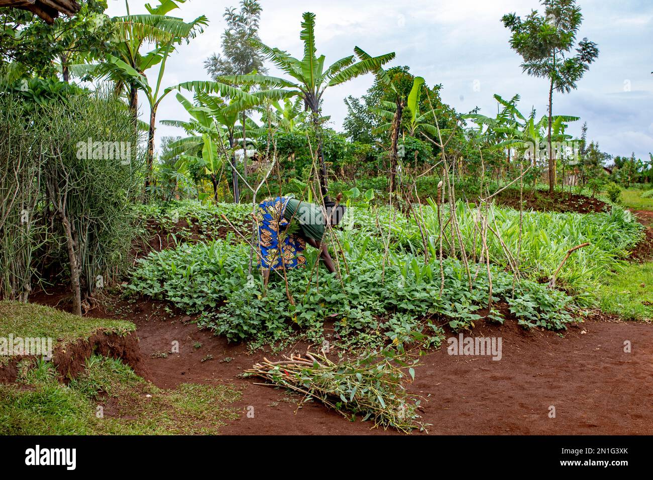 Huye province hi-res stock photography and images - Alamy