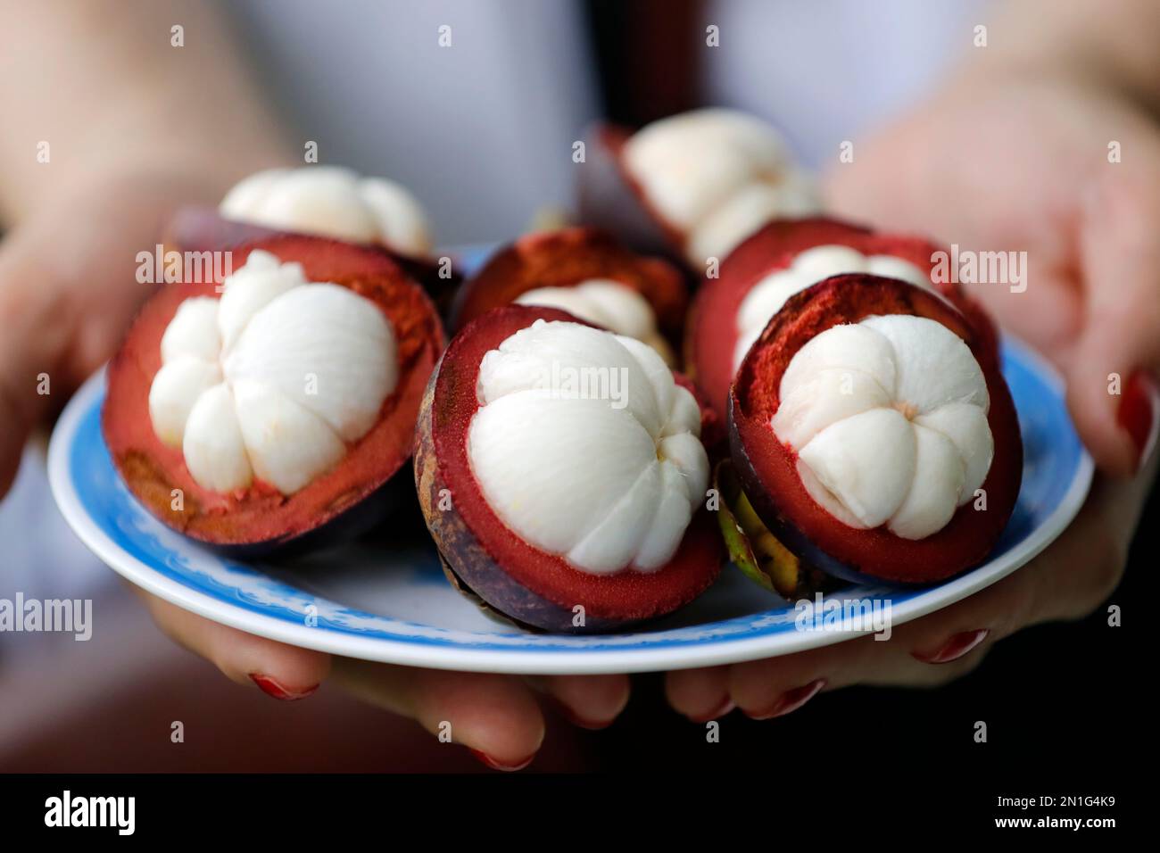 Mangosteen fruit split on a plate, tropical fruit with sweet juicy white segments, Vietnam, Indochina, Southeast Asia, Asia Stock Photo