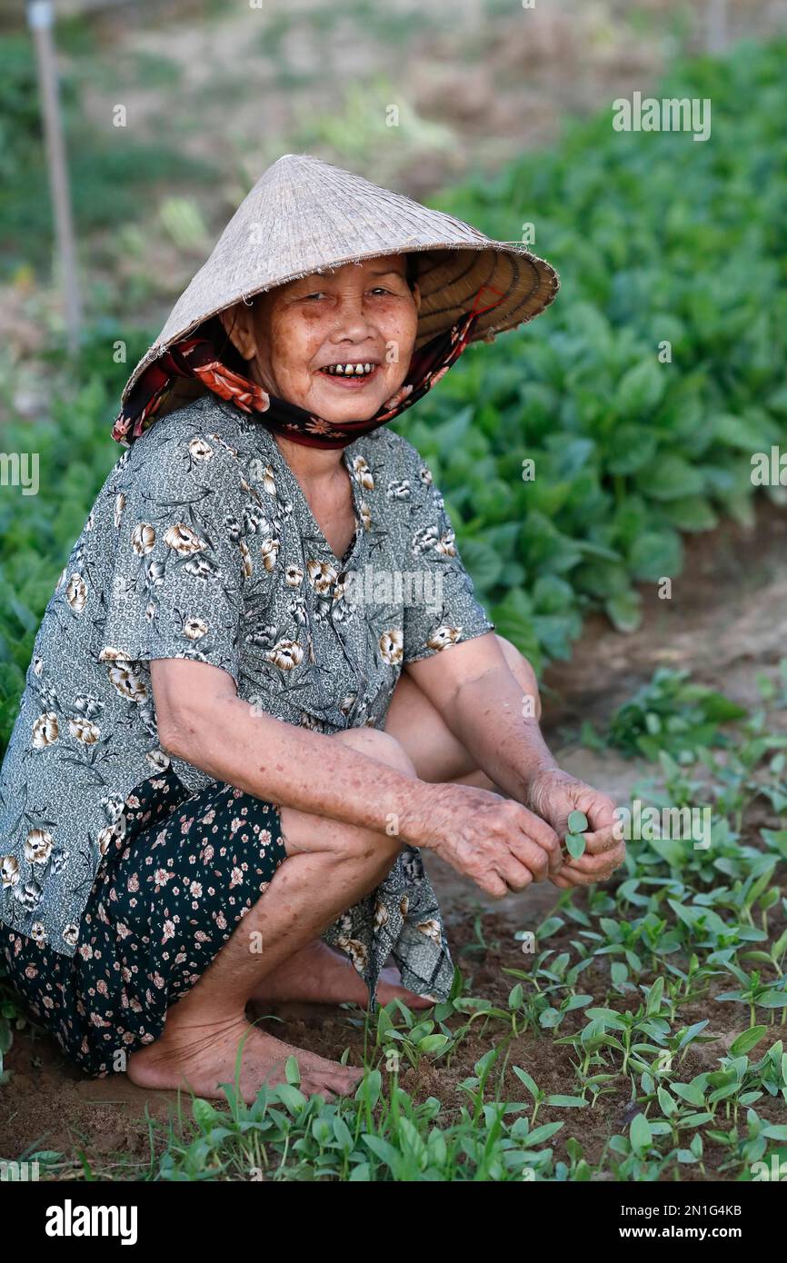 Farmer at work, agriculture, organic vegetable gardens in Tra Que Village, Hoi An, Vietnam, Indochina, Southeast Asia, Asia Stock Photo