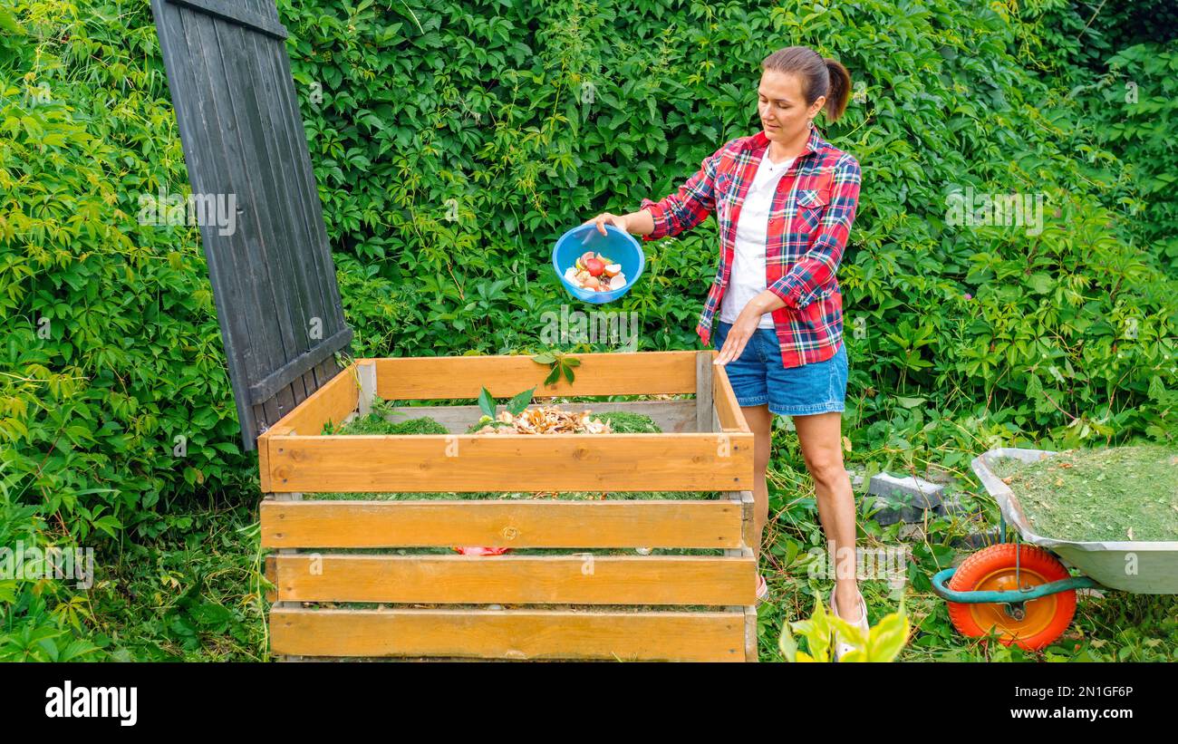 Handmade wooden compost bin close-up. A gardener in a plaid shirt throws lawn clippings and kitchen waste into a DIY compost bin to improve the fertil Stock Photo