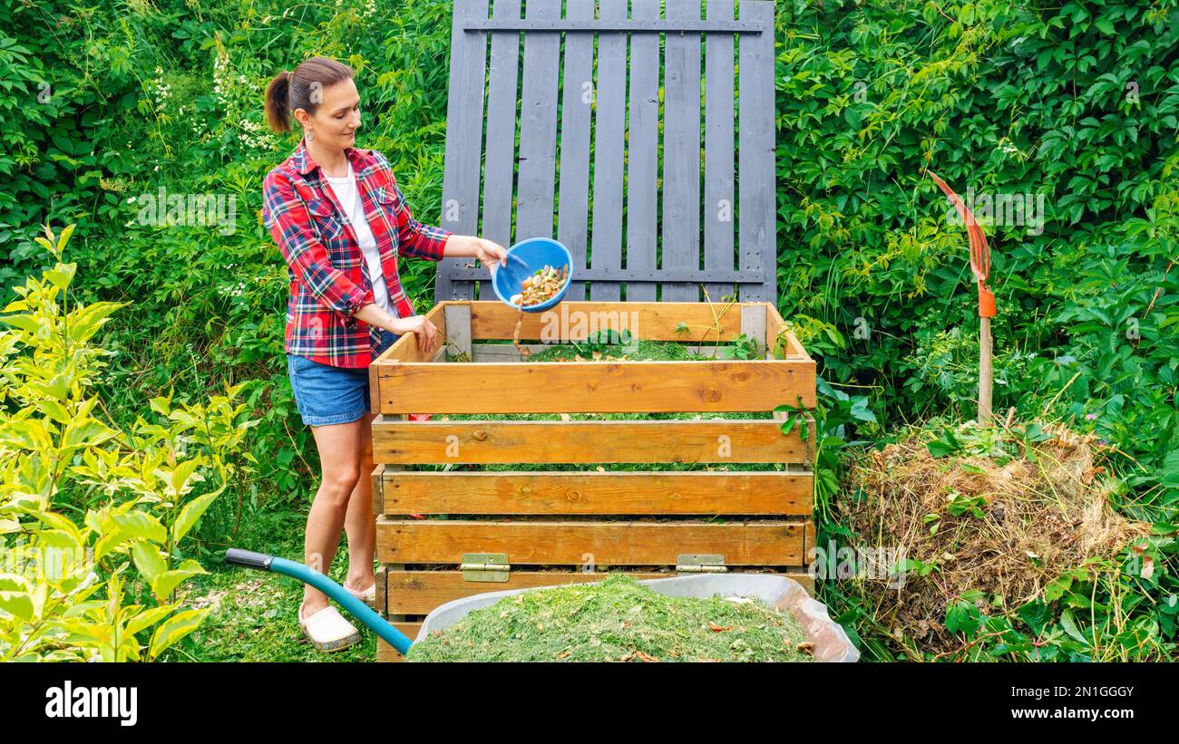 Wooden compost bin close up. A gardener throws lawn clippings and kitchen waste into a DIY compost bin to improve the fertility and soil structure in Stock Photo