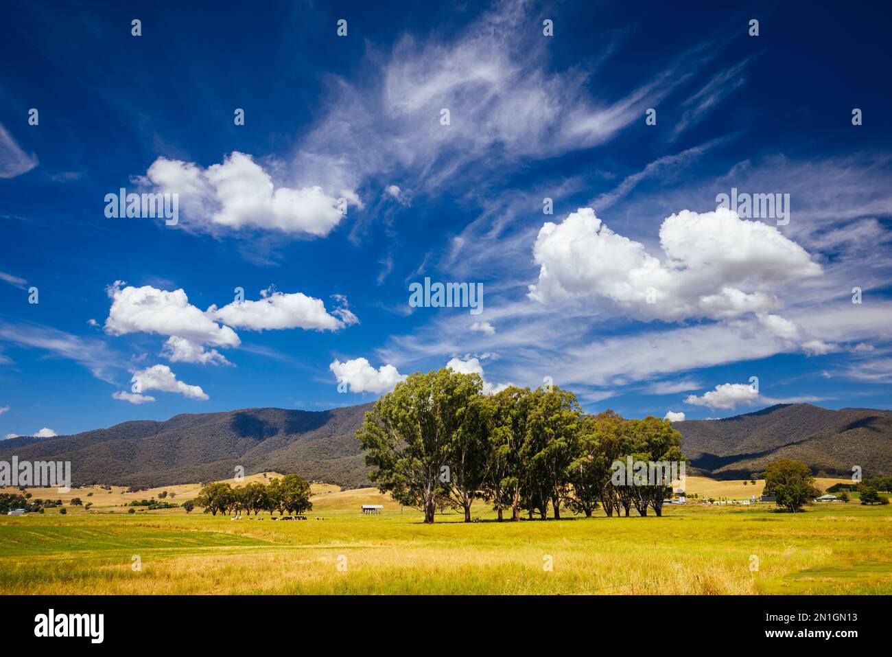 Landscape during summer around the Kiewa River at Keegans Bridge and