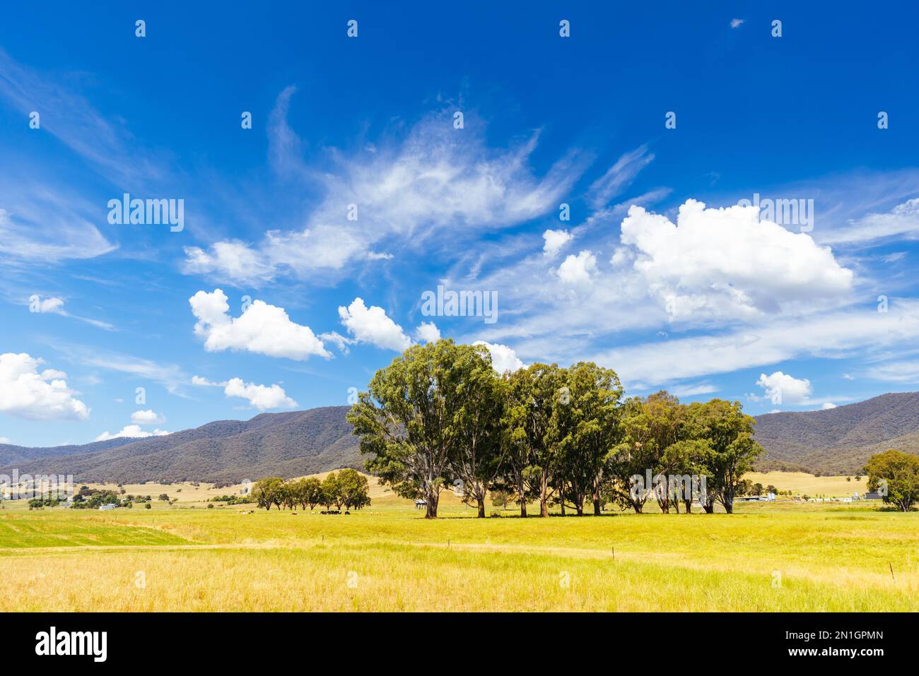 Landscape during summer around the Kiewa River at Keegans Bridge and