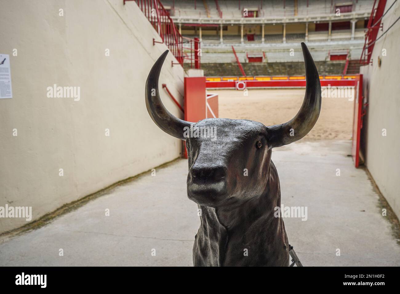 Pamplona Bullring, Plaza de Toros, with fake bull for practise, Pamplona, Navarra, Spain. Stock Photo
