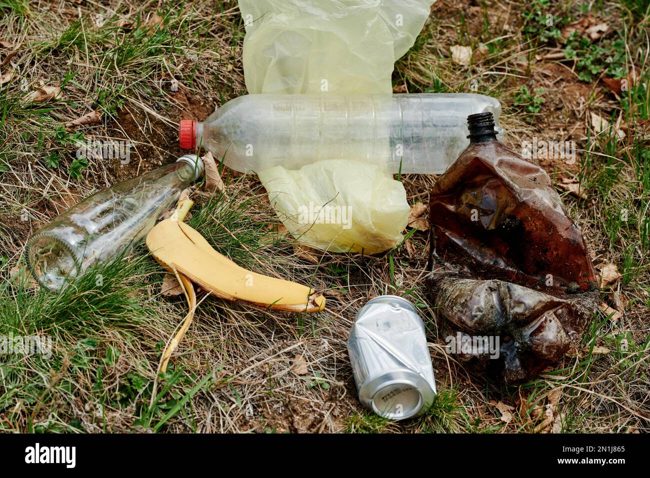 Banana peel, plastic bottles and cans on ground in forest Stock Photo Alamy