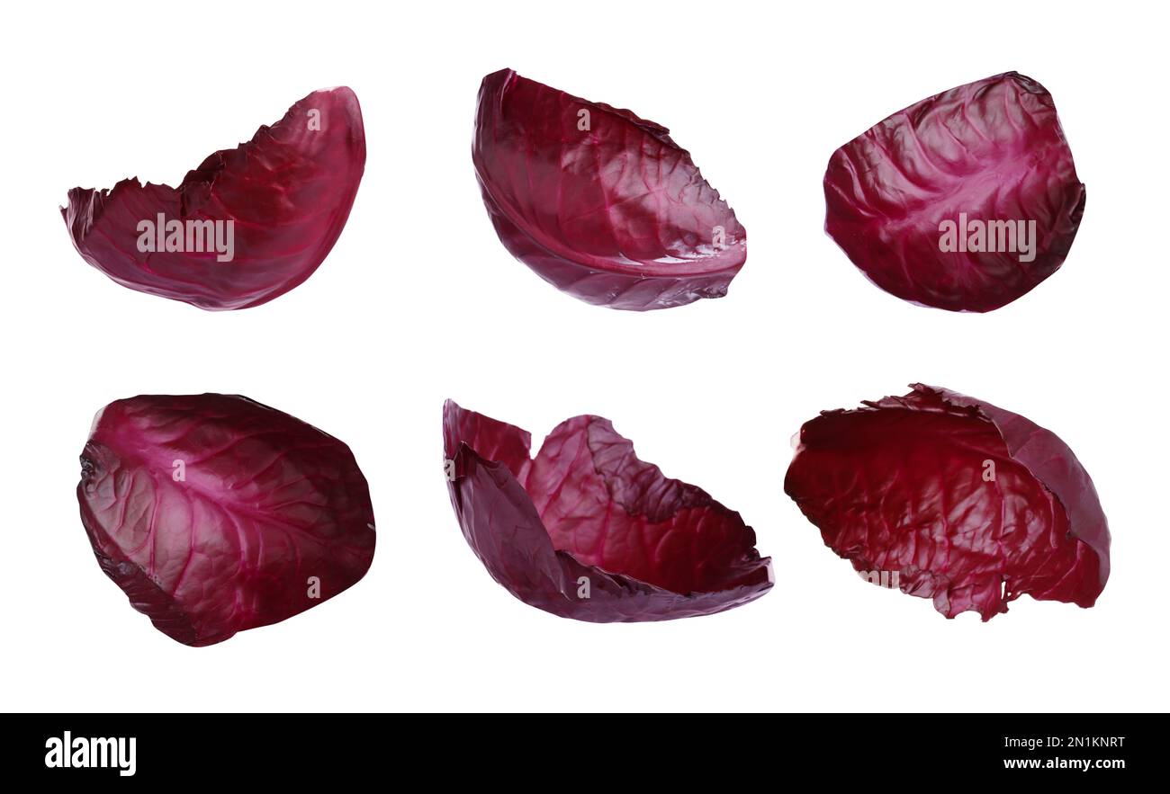 Set of red cabbage leaves isolated on white Stock Photo Alamy