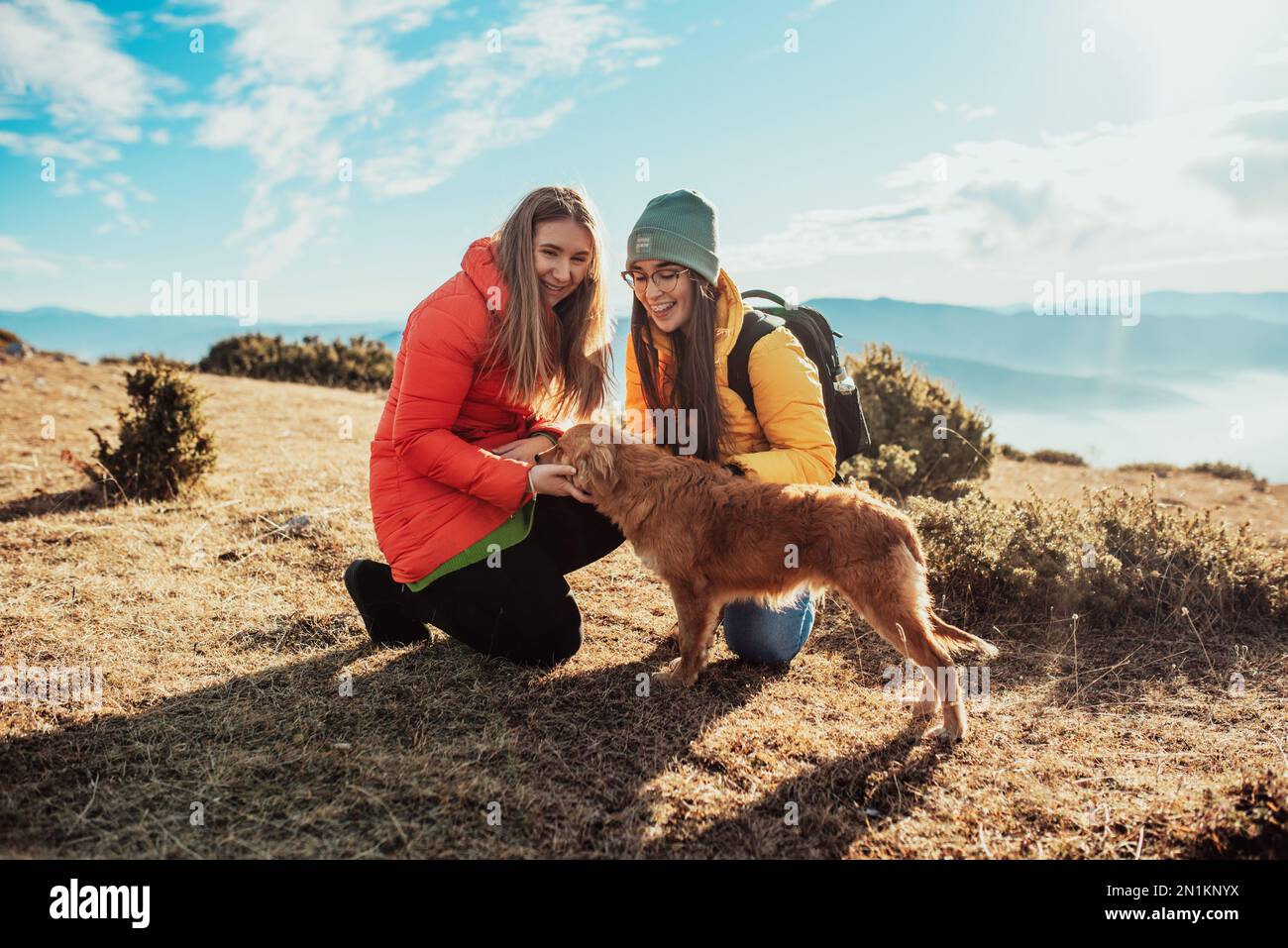 two friends are playing with a dog in nature Stock Photo