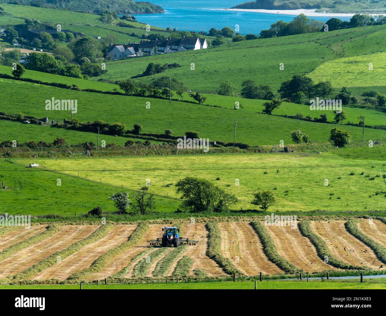 Tractor in the field. Picturesque agrarian landscape of Ireland