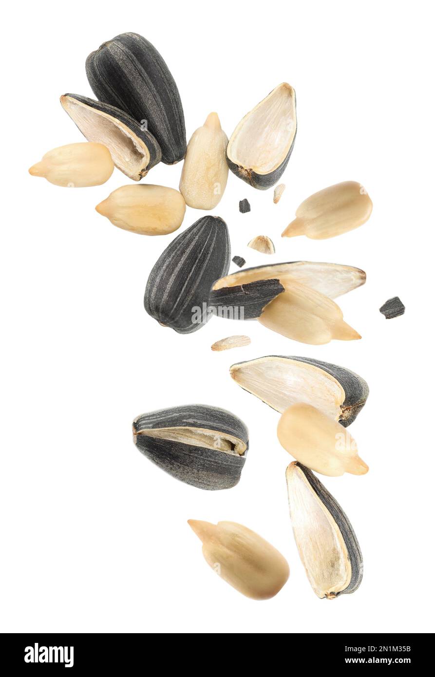 Sunflower seeds with hull flying on white background Stock Photo